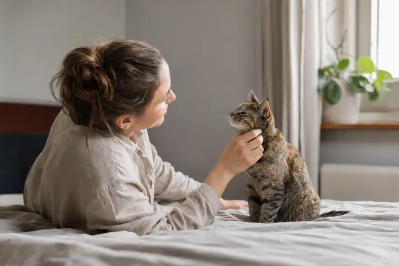 Katze beim Tierarzt – Symbolbild für Absicherung und Behandlungskosten