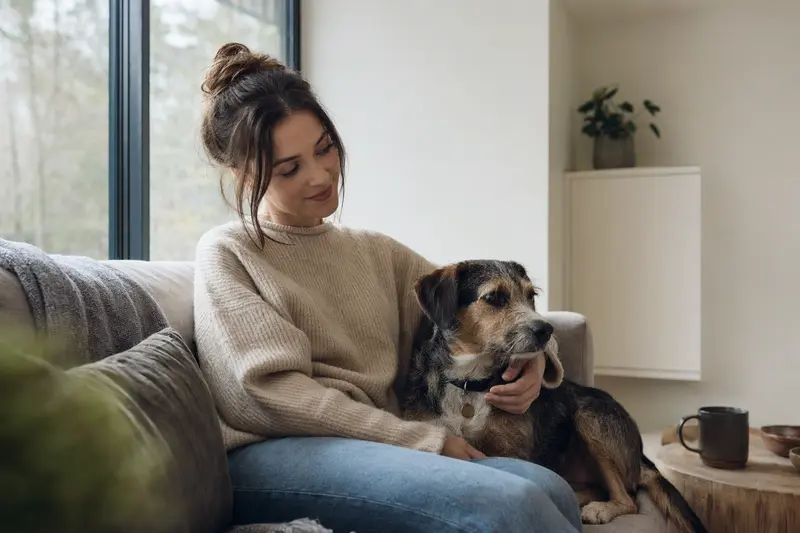 Hund beim Tierarzt – Symbolbild für Gesundheitskosten und Absicherung