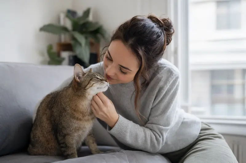 Katze beim Gesundheitscheck in ruhiger Umgebung