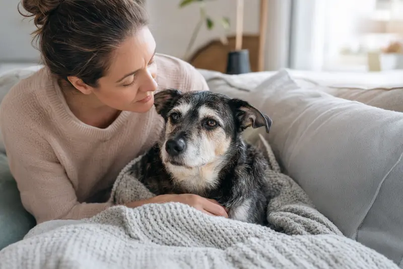 Hund beim Tierarzt zur Gesundheitskontrolle