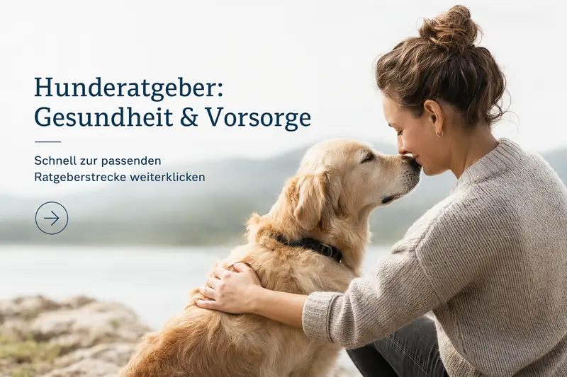 Hund beim Tierarzt-Check als Symbol für Gesundheit und Vorsorge