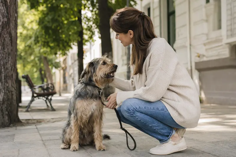 Hund an der Leine im Alltag – Symbol für verantwortungsvolle Absicherung durch Hundehaftpflicht