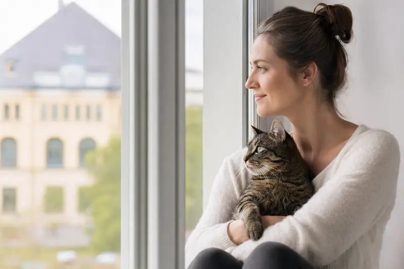 Katze im Haushalt – Orientierung zur passenden Absicherung