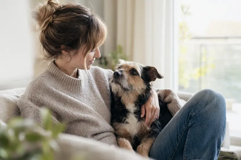 Hund beim Tierarzt – Orientierung zur Krankenversicherung, OP-Schutz und Vorsorge