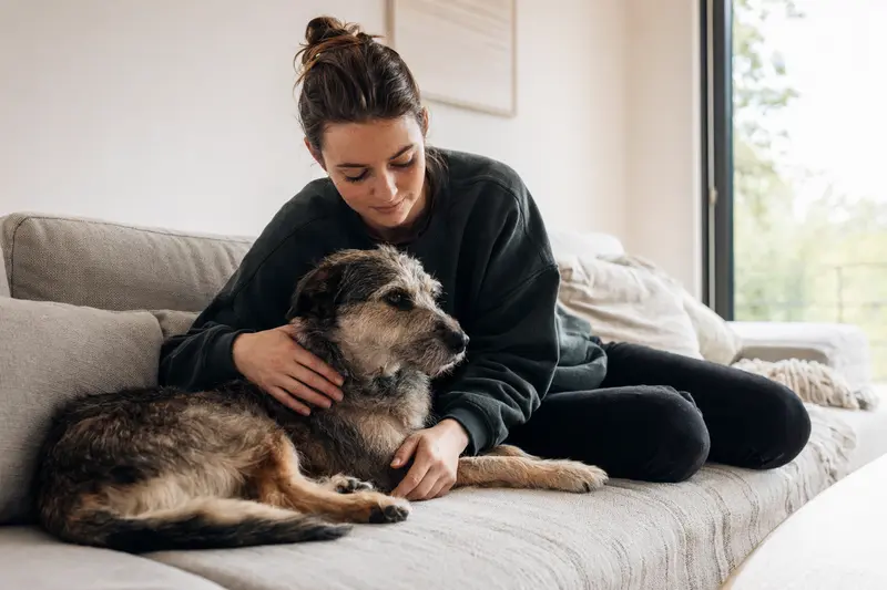 Hund beim Tierarzt – Entscheidungshilfe zur OP-Versicherung