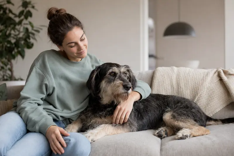 Hund beim Tierarzt – Fokus auf OP-Kostenschutz und finanzielle Planung