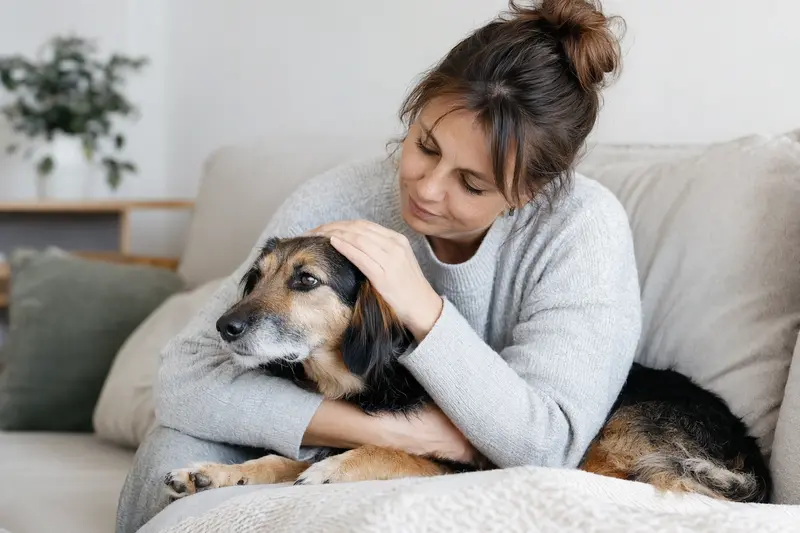 Hund in ruhiger Umgebung beim Tierarzt – Symbolbild für OP-Kostenschutz