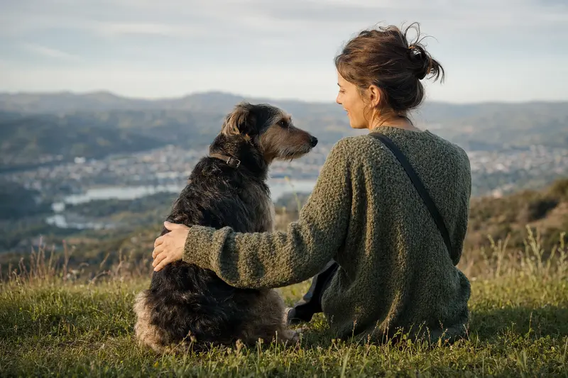 Hund an der Leine im Alltag – Symbol für verantwortungsbewussten Haftpflichtschutz