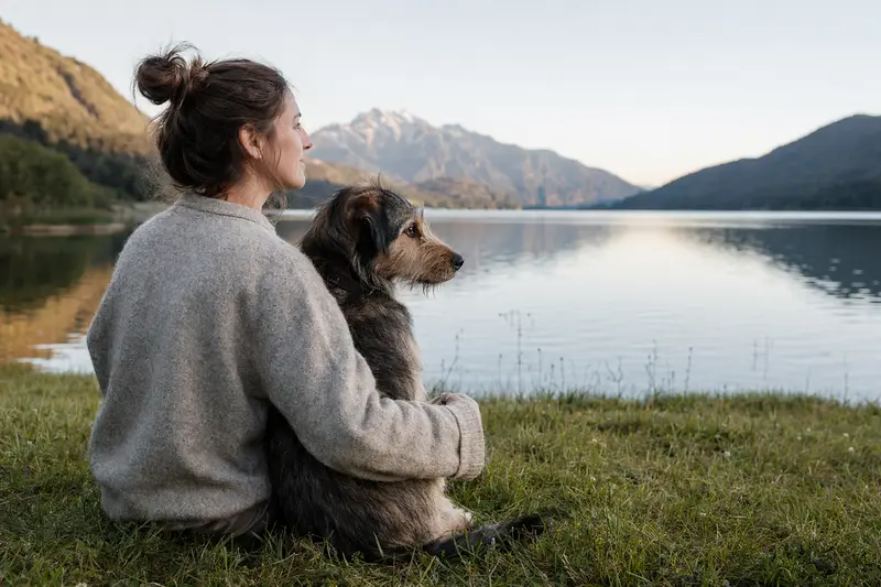 Hund an der Leine im Alltag – Symbolbild für Verantwortung und Haftpflichtschutz
