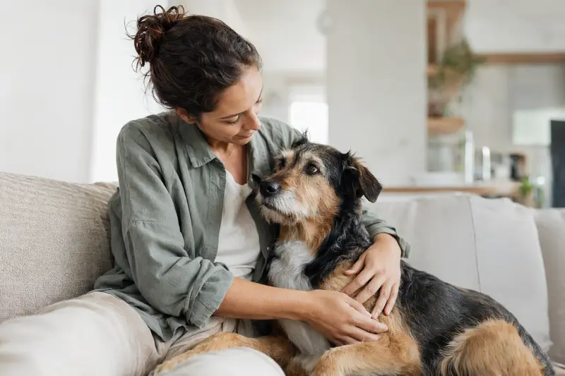 Hund beim Tierarzt – Symbolbild für Gesundheitskosten und Absicherung