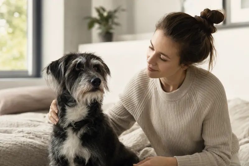 Hund beim Tierarzt – Symbolbild für Kostenrisiken und Versicherungsschutz
