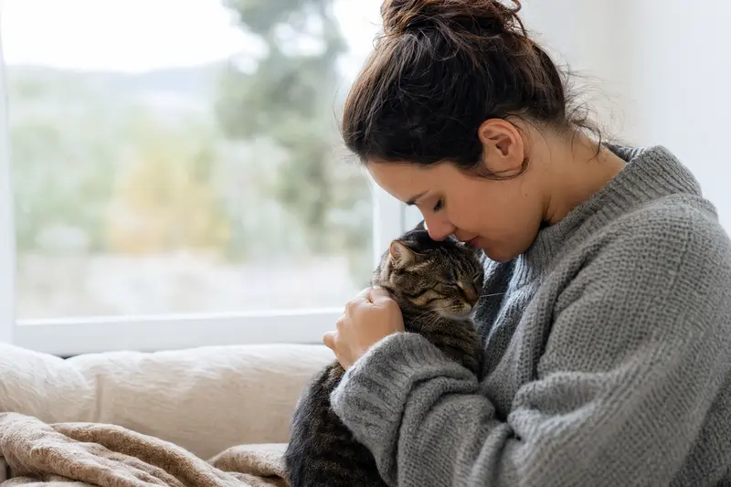 Katze beim Tierarzt – Orientierung zur Krankenversicherung für Katzen
