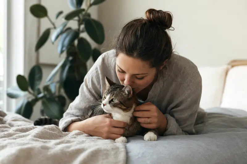 Katze beim Tierarzt – Symbolbild für OP-Kostenabsicherung