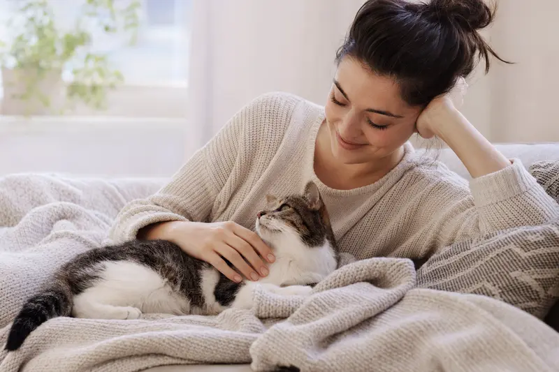 Katze beim Tierarzt – Orientierung zur Katzenversicherung und Leistungen