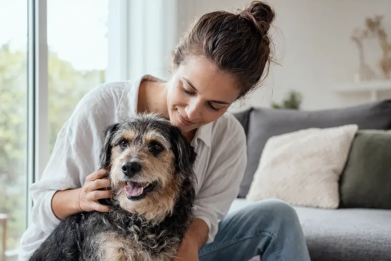 Hund beim Tierarzt – Orientierung zur Hundekrankenversicherung