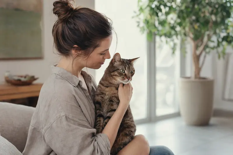 Katze beim Tierarzt – Symbolbild für Katzenkrankenversicherung und Kostenabsicherung