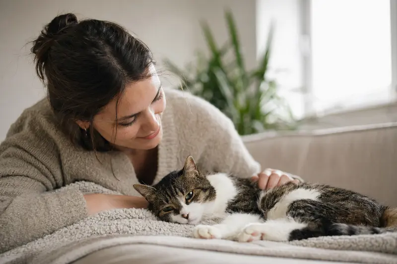 Katze beim Tierarzt – Orientierung zur Katzenkrankenversicherung