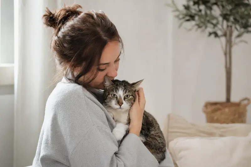 Katze beim Tierarzt – Symbolbild für Krankenversicherung und Kostenabsicherung