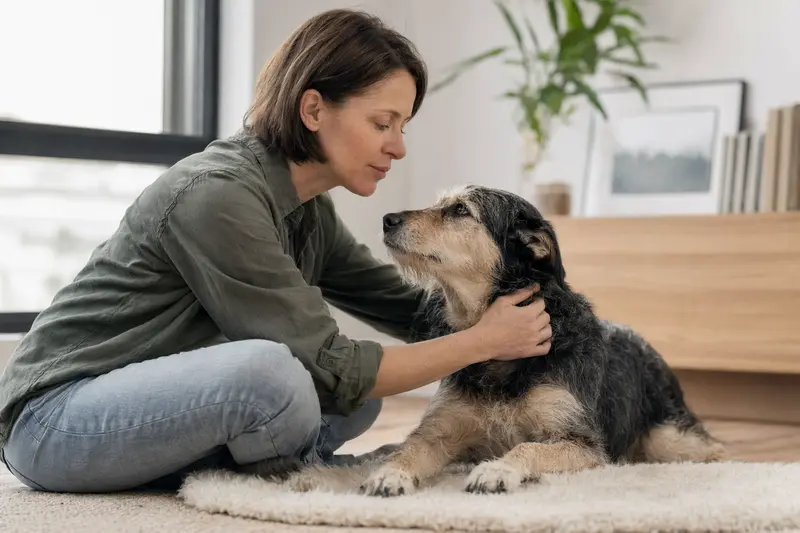 Hund beim Tierarzt – Symbolbild für Versicherungsleistungen und Kostenschutz