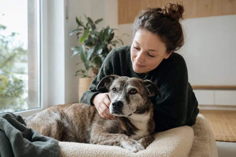 Hund beim Tierarzt – Symbolbild für Leistungen der Hundekrankenversicherung