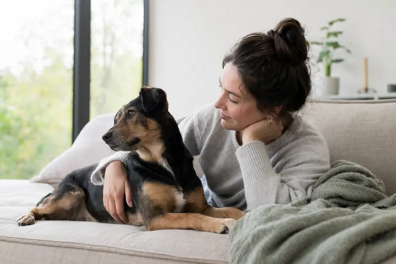 Hund beim Tierarzt – Symbolbild für Leistungen der Hundekrankenversicherung