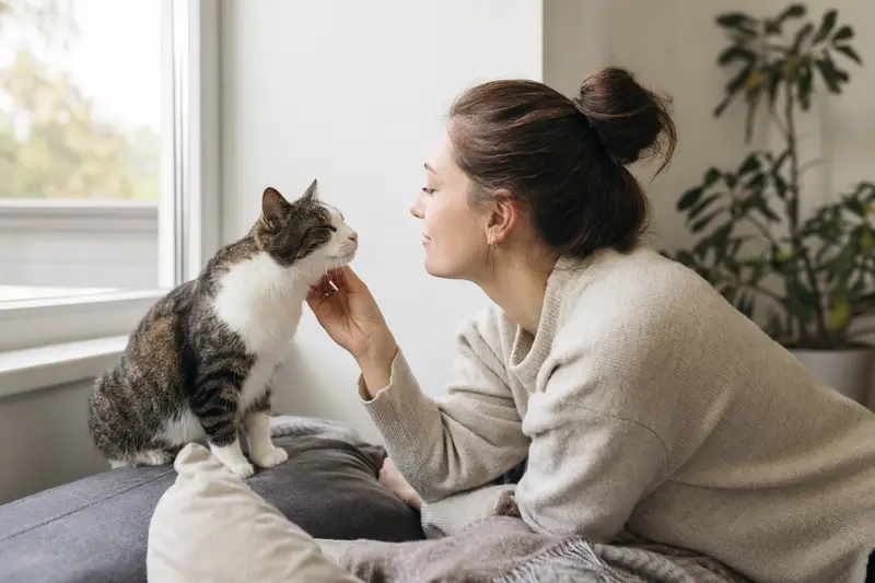 Katze beim Tierarzt – Symbolbild für Leistungen der Katzenkrankenversicherung