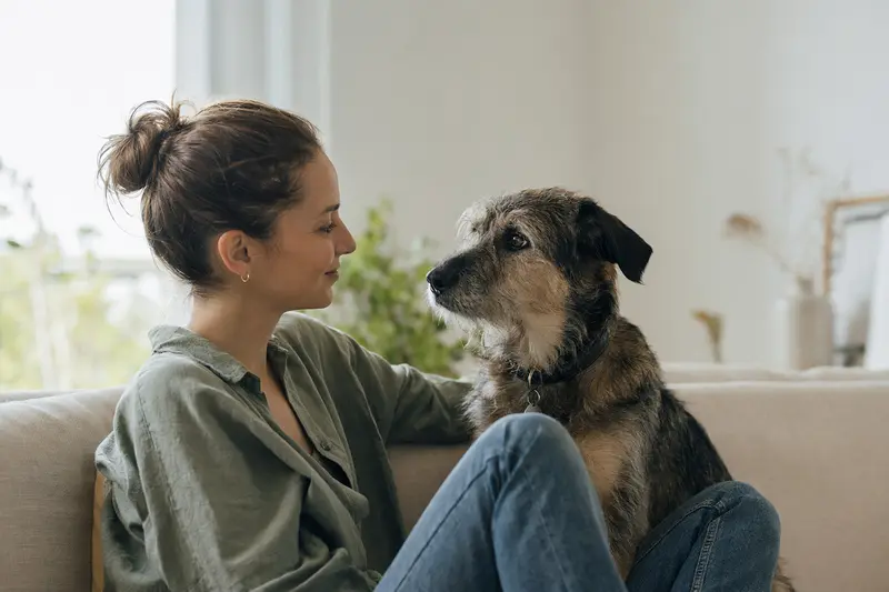 Hund beim Tierarzt: Symbolbild für Leistungen und Kostenübernahme in der Hundeversicherung
