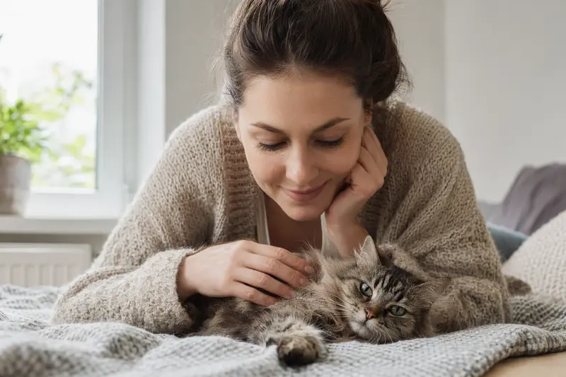Katze beim Tierarzt – Orientierung zu Leistungen der Tierkrankenversicherung