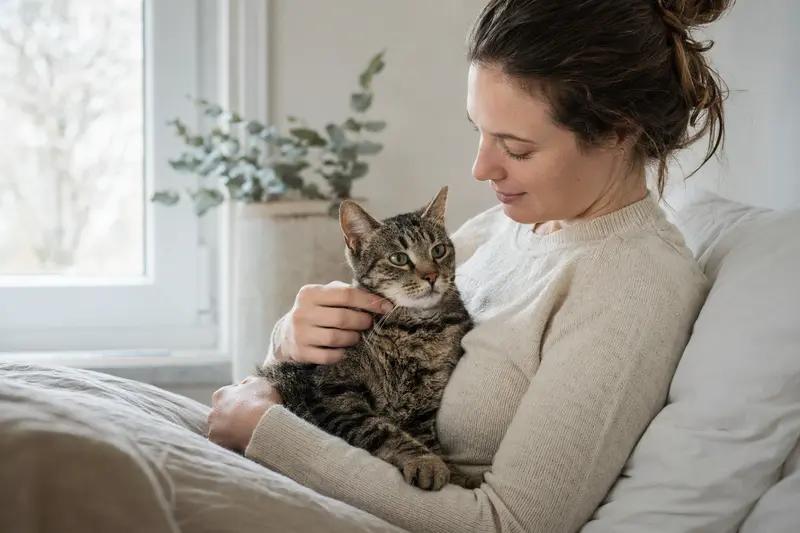 Katze beim Tierarzt – Entscheidung zwischen OP-Versicherung und Krankenversicherung