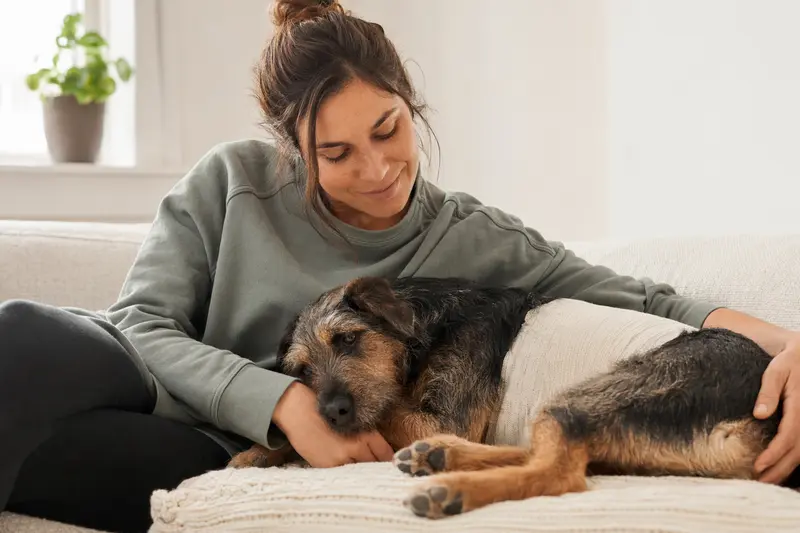 Hund beim Tierarzt: Symbolbild für OP-Kostenabsicherung