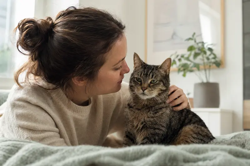 Katze beim Tierarzt – Orientierung zu Gesundheit, Kosten und Absicherung