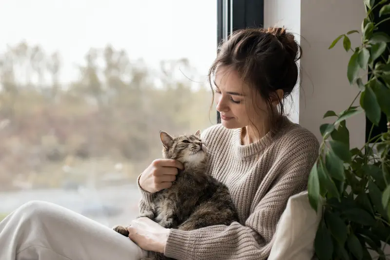 Katze im Zuhause – Symbolbild für Absicherung und Vorsorge