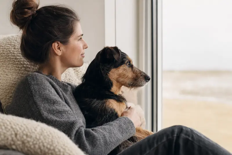 Hund beim Tierarzt – Symbolbild für Kostenabsicherung und Tarifvergleich