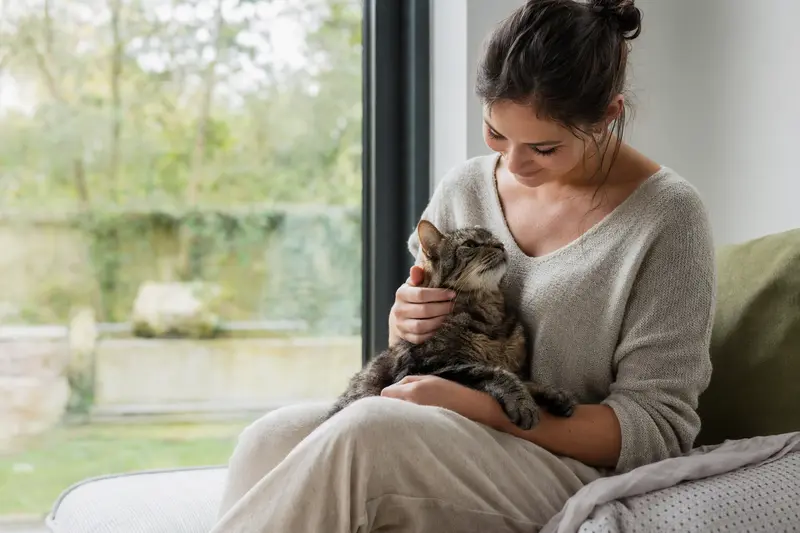Katze in ruhiger Umgebung, Symbolbild für Tierarztkosten und Absicherung