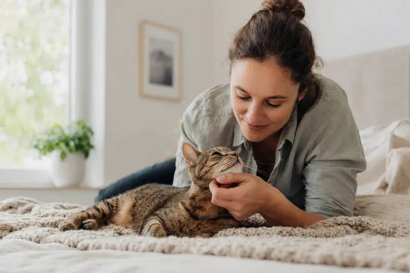 Katze beim Tierarzt – Orientierung zum Tarifvergleich für Tierarzt- und Vorsorgeleistungen