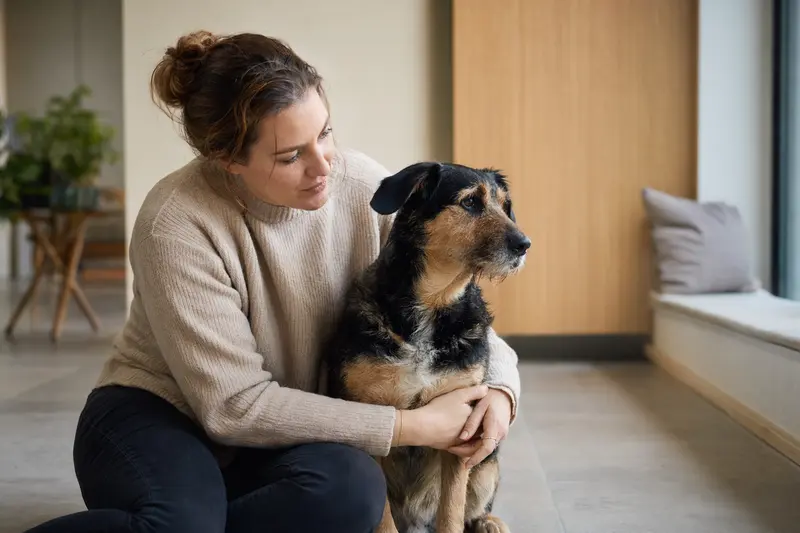 Hund beim Tierarzt: Gesundheitscheck als Grundlage für Versicherungsfragen