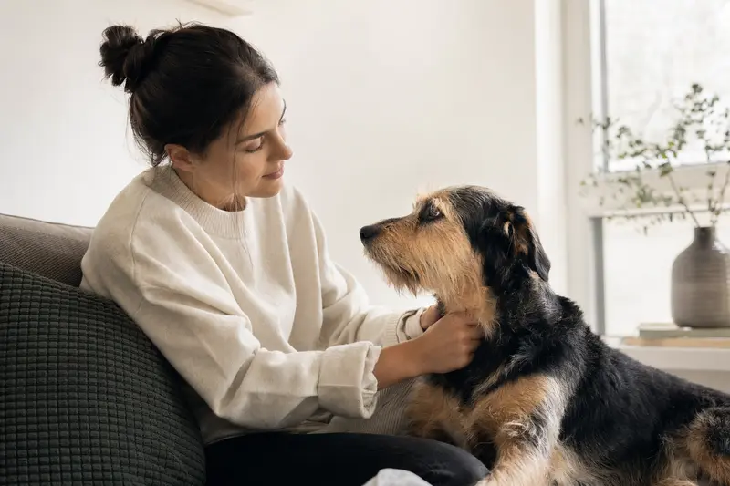 Hund beim Tierarzt – Antragstellung und Gesundheitsangaben zur Versicherung