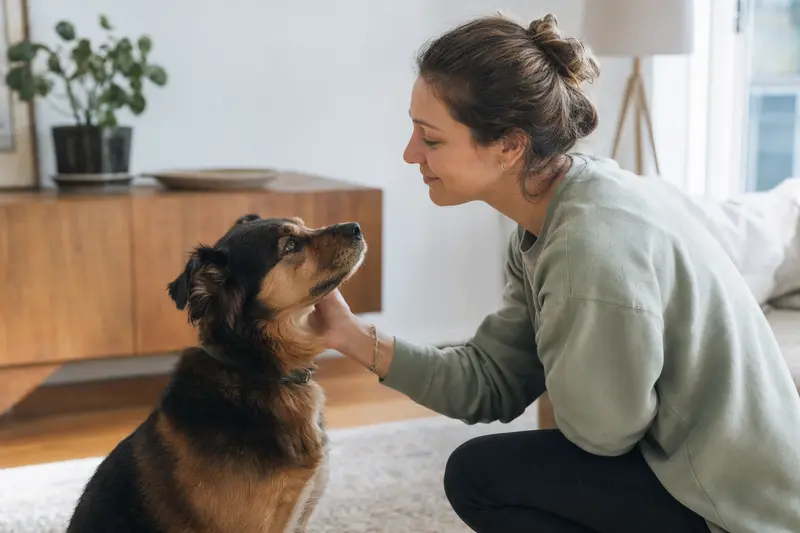 Hund beim Vorsorgetermin in einer Tierarztpraxis