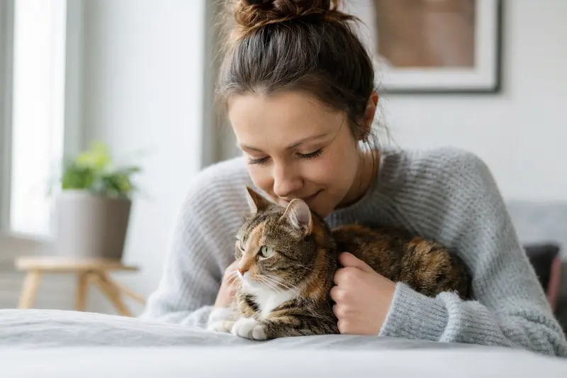 Katze beim Tierarzt: Vorsorge und Kostenplanung