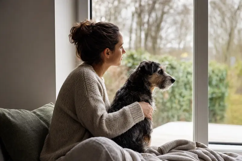 Hund beim Tierarzt – Symbolbild für Leistungsbeginn und Wartezeit in der Tierkrankenversicherung
