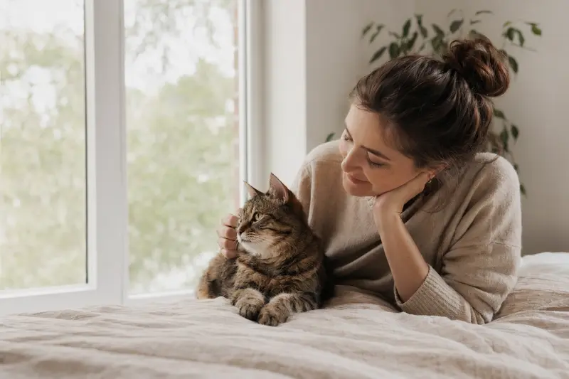 Katze beim Tierarzt – Start des Versicherungsschutzes nach Wartezeit verstehen