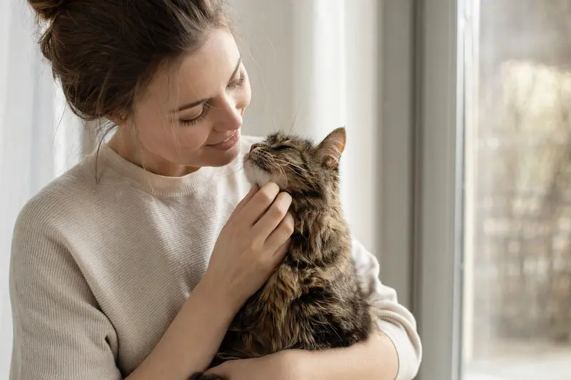 Katze mit Fokus auf Maul- und Zahnpflege