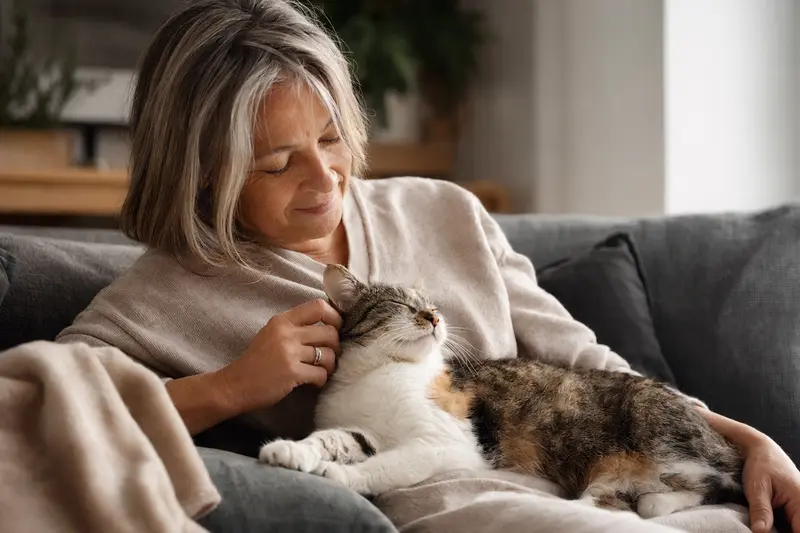 Eine ältere Hauskatze liegt entspannt auf einem Sofa, während ihr Besitzer sie liebevoll streichelt und eine warme Lichtatmosphäre das ruhige Zuhause unterstreicht.