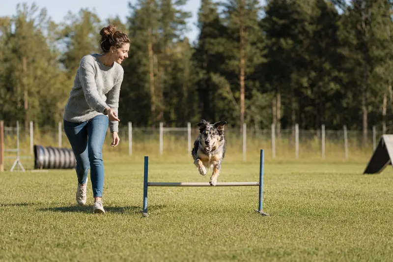 Ein Agassin Hund und sein Besitzer trainieren mit Freude auf einem Hundeplatz.