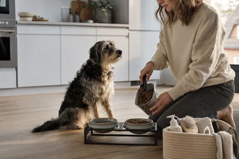 Ein Aidi Hund sitzt neben einem hochwertigen Futternapf und Pflegezubehör in einer hellen Küche, während der Besitzer Futter vorbereitet.