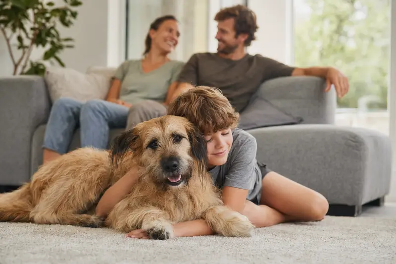 Ein freundlicher Hund liegt entspannt neben einem Kind im Wohnzimmer und vermittelt eine sichere Familienatmosphäre mit dem Hund als treuem Begleiter.