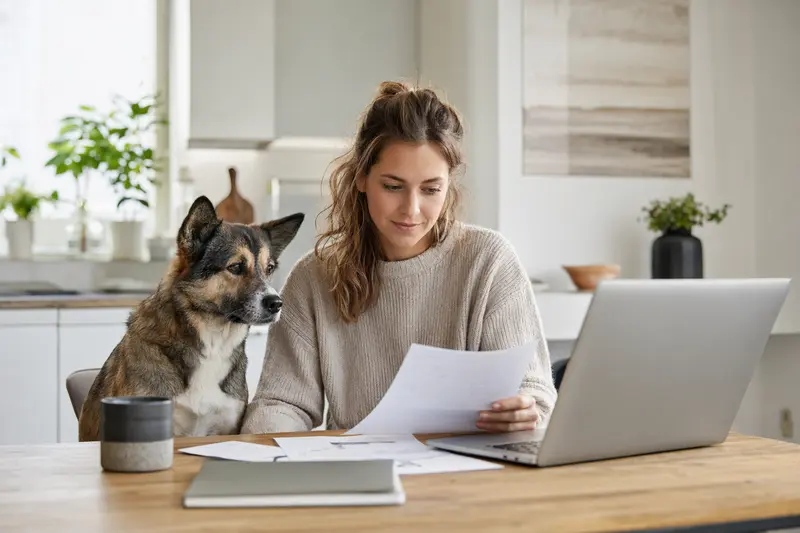 Ein Ainu Inu Hund sitzt gelassen neben seinem Besitzer am Küchentisch mit Versicherungsunterlagen und einem Laptop.