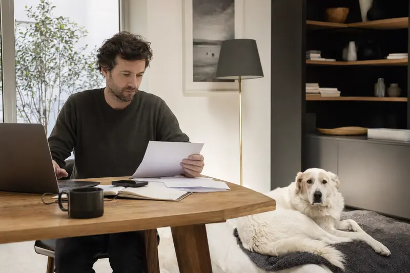 Entspannter Akbash Hund liegt auf einer Decke, während sein Besitzer die Tierarztrechnung am Tisch studiert.