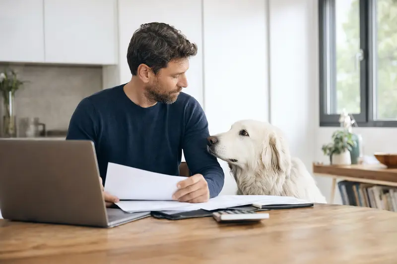 Ein Akbash Hund sitzt entspannt neben seinem Besitzer am Küchentisch, auf dem Versicherungsunterlagen und ein Laptop liegen.