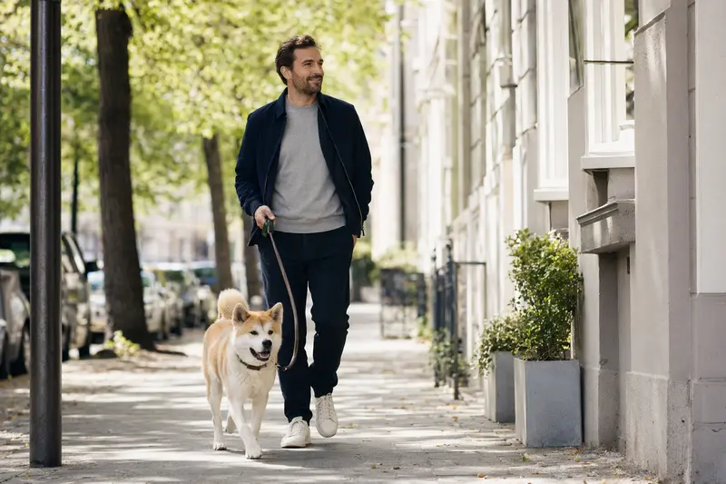 Ein Akita Inu Hund läuft an der Leine mit seinem Besitzer durch eine moderne Stadtstraße.